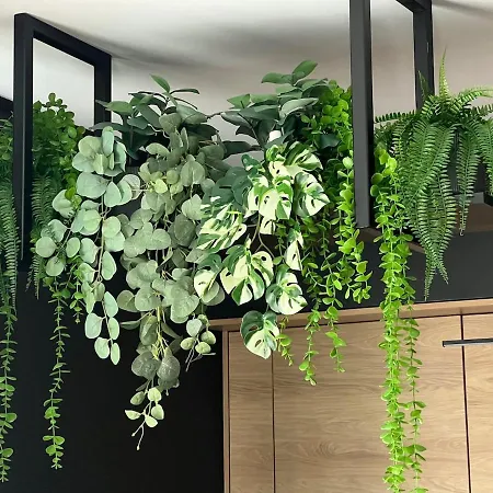Appartement Vernisaj Boutique *